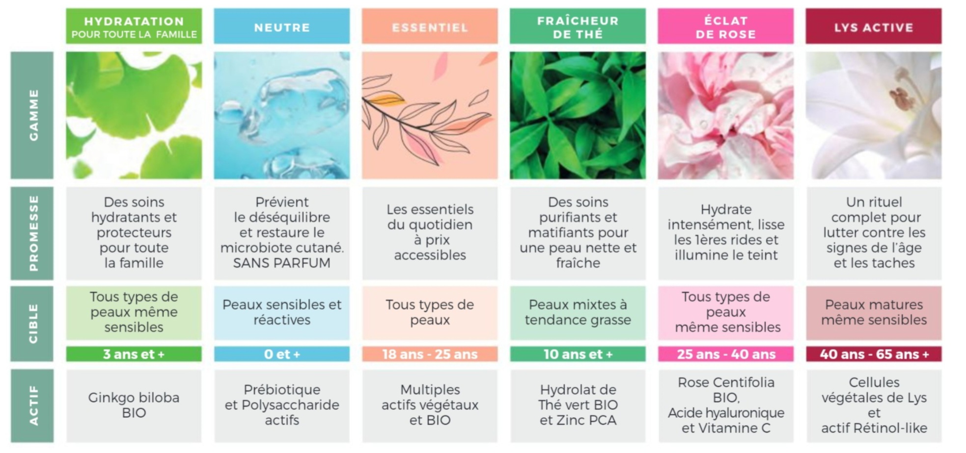 Les 6 gammes Centifolia